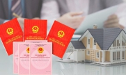 Thí điểm Trung tâm giao dịch bất động sản một cửa liên thông, nhận sổ đỏ sau 2 ngày