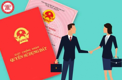 Làm gì khi hàng xóm làm sổ đỏ sang diện tích đất nhà mình?